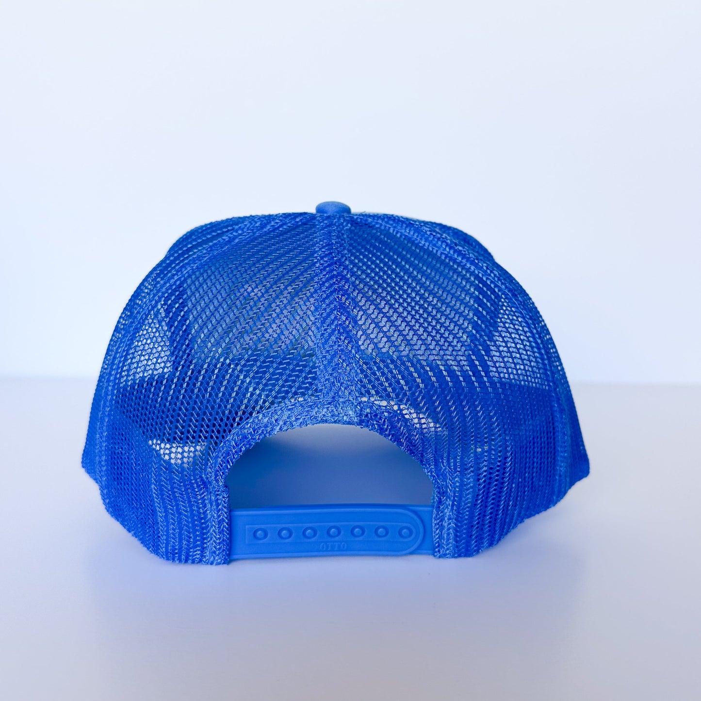 Lions Trucker Hat
