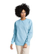 Comfort Colors Adult Crewneck